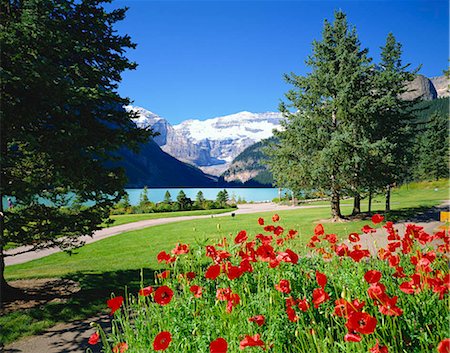 snow capped mountain canada - World Heritage Banff National Park Lake Louise, Canada Stock Photo - Rights-Managed, Code: 855-03255331