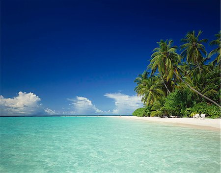 paradise (place of bliss) - Island resort, Maldives Photographie de stock - Rights-Managed, Code: 855-03255346