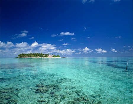 Tropical island, Maldives Stock Photo - Rights-Managed, Code: 855-03255352