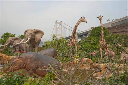 Ark garden, Noah's Ark, Ma Wan, Hong Kong Stock Photo - Rights-Managed, Code: 855-03252821