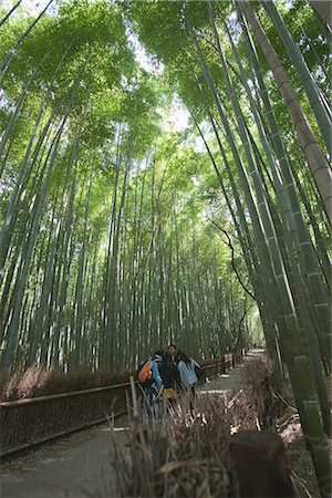 simsearch:855-03253046,k - Bamboo forest, Sagano, Kyoto, Japon Photographie de stock - Rights-Managed, Code: 855-03253045