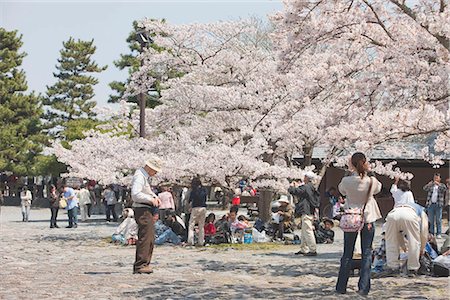 Cherry blossom at Arashiyama park, Kyoto, Japan Fotografie stock - Rights-Managed, Codice: 855-03253067