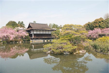 Cherry blossom at garden of Heian-jingu shrine, Kyoto, Japan Stock Photo - Rights-Managed, Code: 855-03253079