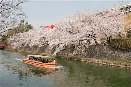 Tour boat on river with cherry blossom along the river bank, Okazaki, Kyoto, Japan Stock Photo - Rights-Managed, Code: 855-03253084