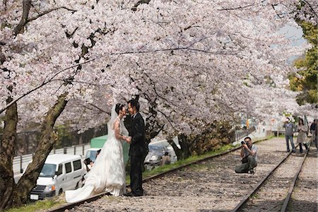 A wedding couple pose for photo under the cherry blossom, Higashiyama, Kyoto, Japan Fotografie stock - Rights-Managed, Codice: 855-03253085