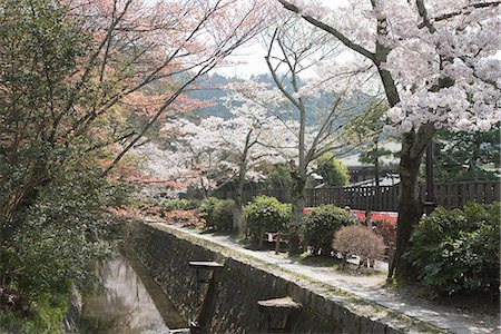 Road of philosophy, Higashiyama, Kyoto, Japan Fotografie stock - Rights-Managed, Codice: 855-03253086