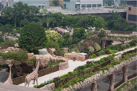 Ark garden at Noah's Ark, Ma Wan, Hong Kong Stock Photo - Rights-Managed, Code: 855-03253231