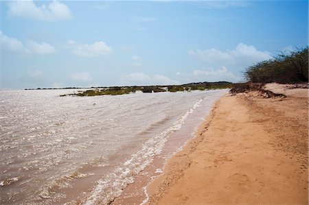 Muddy water at Balachadi Beach, Jamnagar, Gujarat, India Stock Photo - Rights-Managed, Code: 857-06721662