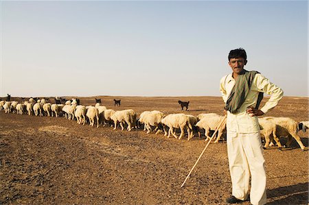 domestic animals in india - Portrait of a shepherd standing with arms akimbo, Jaisalmer, Rajasthan, India Stock Photo - Rights-Managed, Code: 857-03192616