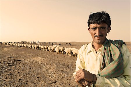 domestic animals in india - Portrait of a shepherd with a flock of sheep behind him, Jaisalmer, Rajasthan, India Stock Photo - Rights-Managed, Code: 857-03192617