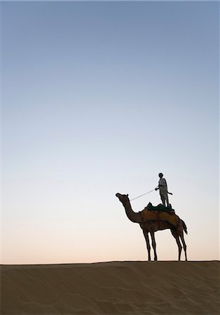 rajasthan natural scenery - Man standing on a camel, Jaisalmer, Rajasthan, India Stock Photo - Rights-Managed, Code: 857-03192626