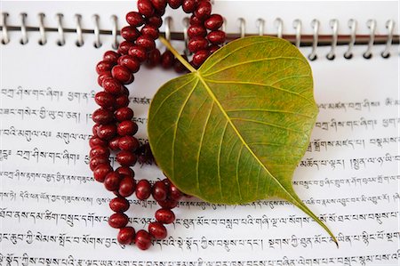 simsearch:857-03192923,k - Praying beads with a pipal leaf on a book, Mahabodhi Temple, Bodhgaya, Gaya, Bihar, India Foto de stock - Con derechos protegidos, Código: 857-03192919