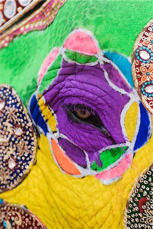 endangered animal skins - Close-up of a painted elephant, Elephant Festival, Jaipur, Rajasthan, India Stock Photo - Rights-Managed, Code: 857-03193104