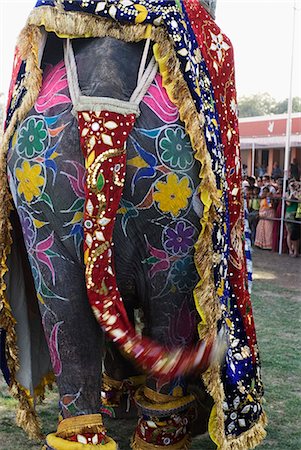 decorated asian elephants - Rear view of a decorated elephant, Elephant Festival, Jaipur, Rajasthan, India Foto de stock - Con derechos protegidos, Código: 857-03193107