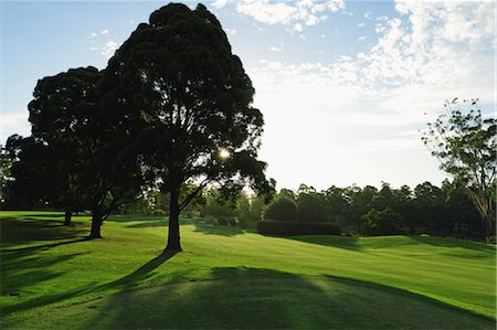 park trees - Golf course Stock Photo - Rights-Managed, Code: 858-05799197