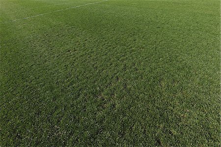 football pitch - Football Field Stock Photo - Rights-Managed, Code: 858-06756253