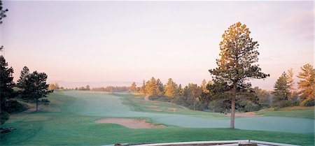 simsearch:858-03045470,k - Beautiful Golf Course Foto de stock - Con derechos protegidos, Código: 858-03045336