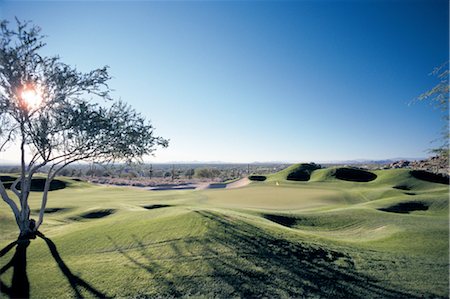 simsearch:858-03045470,k - Beautiful Golf Course Foto de stock - Con derechos protegidos, Código: 858-03045428