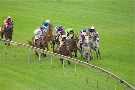 Horserace Foto de stock - Direito Controlado, Número: 858-03049256