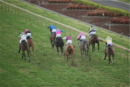 Group of horses racing Foto de stock - Con derechos protegidos, Código: 858-03049437