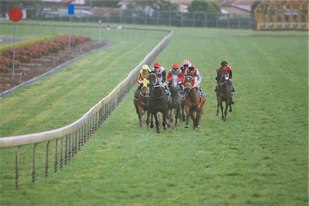 Groupe de chevaux de course Photographie de stock - Rights-Managed, Code: 858-03049432