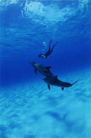 pictures of woman snorkeling underwater - Underwater Stock Photo - Rights-Managed, Code: 858-03052094