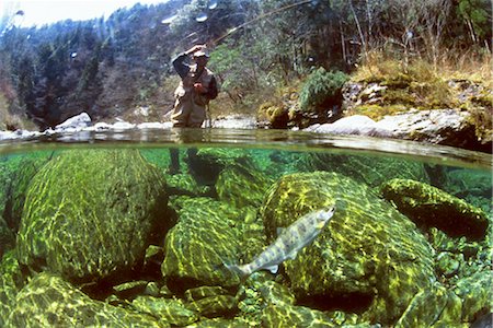 flyfishing sunlight - Fishing Stock Photo - Rights-Managed, Code: 858-03053410