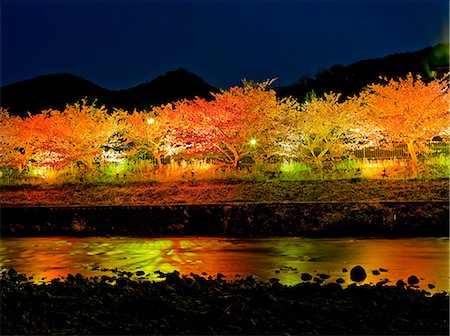 simsearch:859-06380252,k - Cherry Blossom Lit Up In Kawazu, Shizuoka, Japan Foto de stock - Con derechos protegidos, Código: 859-06380123