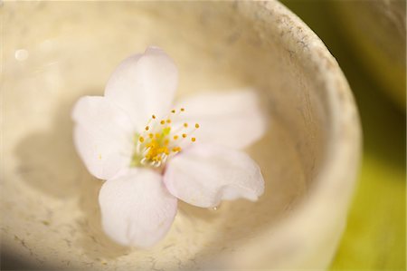 sake - Japanese Sake With Cherry Blossom Foto de stock - Con derechos protegidos, Código: 859-06380134