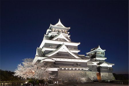 Nachtansicht der Kirsche blüht, Kumamoto-Burg, Kyushu, Japan Stockbilder - Lizenzpflichtiges, Bildnummer: 859-06380154