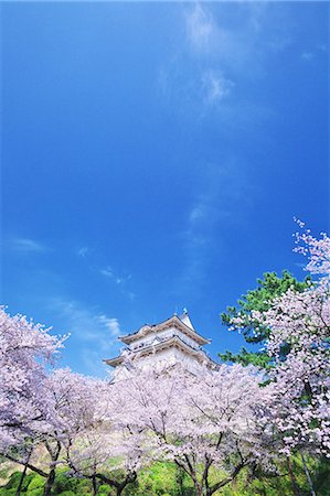 simsearch:859-06380265,k - Odawara Castle Cherry Blossoms, Japan Foto de stock - Con derechos protegidos, Código: 859-06380172