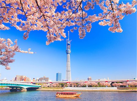 Tokyo Sky Tree, Tokyo, Japan Stock Photo - Rights-Managed, Code: 859-06380188