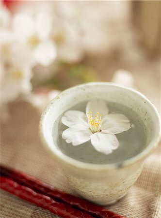 Cherry Blossom And Japanese Tea Stock Photo - Rights-Managed, Code: 859-06380193