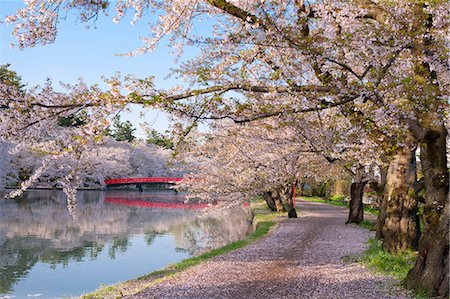 simsearch:859-06380126,k - Fossé ouest du parc de Hirosaki, Aomori Prefecture, Japon Photographie de stock - Rights-Managed, Code: 859-06380263