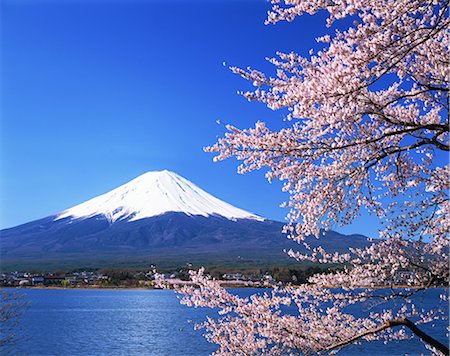 Mt. Fuji de Kawaguchiko, préfecture de Yamanashi, Japon Photographie de stock - Rights-Managed, Code: 859-06380323