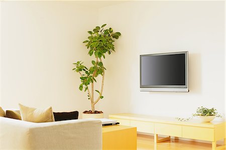 Living room with a plant, furniture and a LCD TV on the wall Foto de stock - Con derechos protegidos, Código: 859-06469824