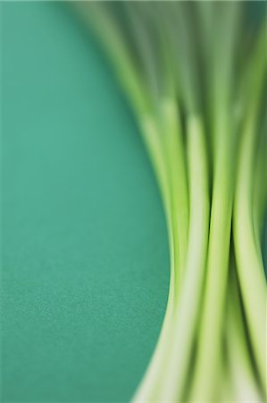spring onion - Green onions on green background Stock Photo - Rights-Managed, Code: 859-06470071
