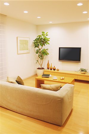 Living room with a plant, furniture and a LCD TV on the wall Stockbilder - Lizenzpflichtiges, Bildnummer: 859-06470184