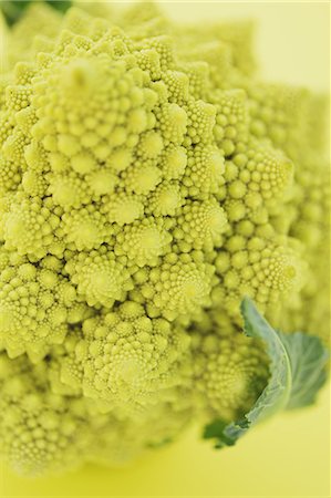 Romanesco Broccoli on yellow background Foto de stock - Con derechos protegidos, Código: 859-06470259