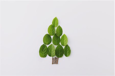 plants white background - Leaf arrangement Stock Photo - Rights-Managed, Code: 859-06538152