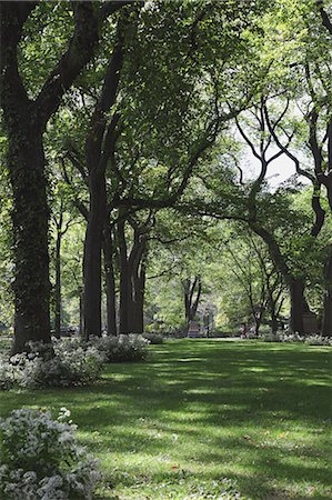 Central Park in New York, USA Stock Photo - Rights-Managed, Code: 859-06710860