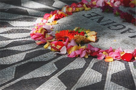 strawberry field - Flowers in Central Park, New York, USA Stock Photo - Rights-Managed, Code: 859-06710863