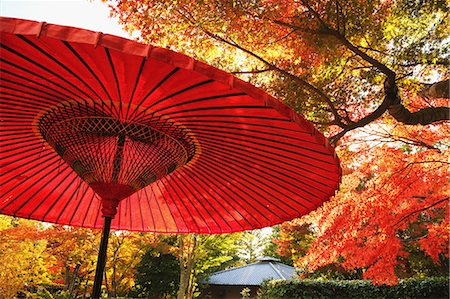 Red paper parasol at Showa Kinen Park, Tokyo Photographie de stock - Rights-Managed, Code: 859-06710982