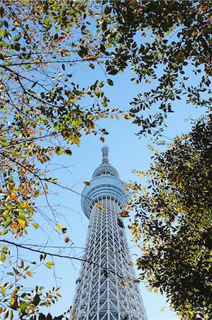 sky tower - Tokyo Sky Tree Photographie de stock - Rights-Managed, Code: 859-06711173
