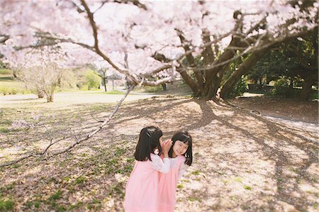 pink girl tree - Female twins playing under a cherry tree Stock Photo - Rights-Managed, Code: 859-06808427