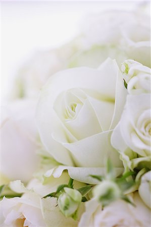 rose petals - Wedding bouquet Foto de stock - Con derechos protegidos, Código: 859-06808454