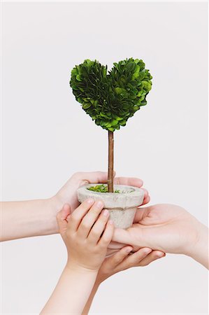family symbol - Hands holding heart-shaped plant Stock Photo - Rights-Managed, Code: 859-06808637