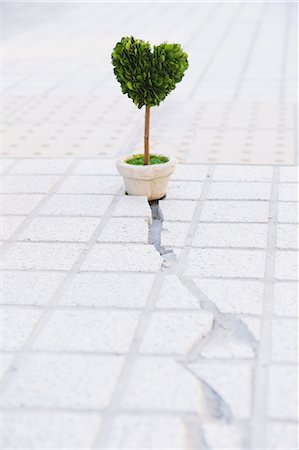 rebuilding - Heart-shaped plant and cracked floor Stock Photo - Rights-Managed, Code: 859-06808679