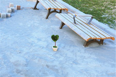 potted - Heart-shaped plant on the ground Foto de stock - Con derechos protegidos, Código: 859-06808686