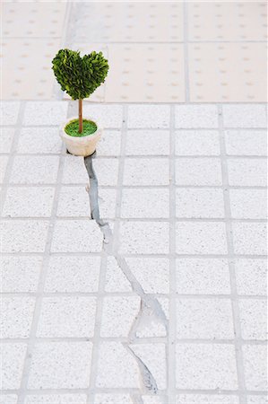 resuscitating - Heart-shaped plant and cracked floor Stock Photo - Rights-Managed, Code: 859-06808681